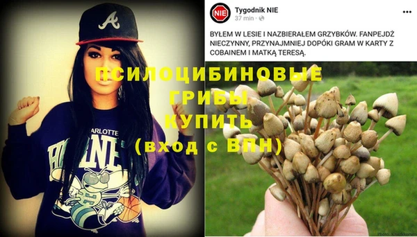 spice Алексеевка