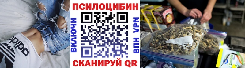 это как зайти  купить наркотики сайты  Луга  Галлюциногенные грибы Cubensis 