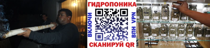 мега ссылки  наркота  Луга  Каннабис марихуана 